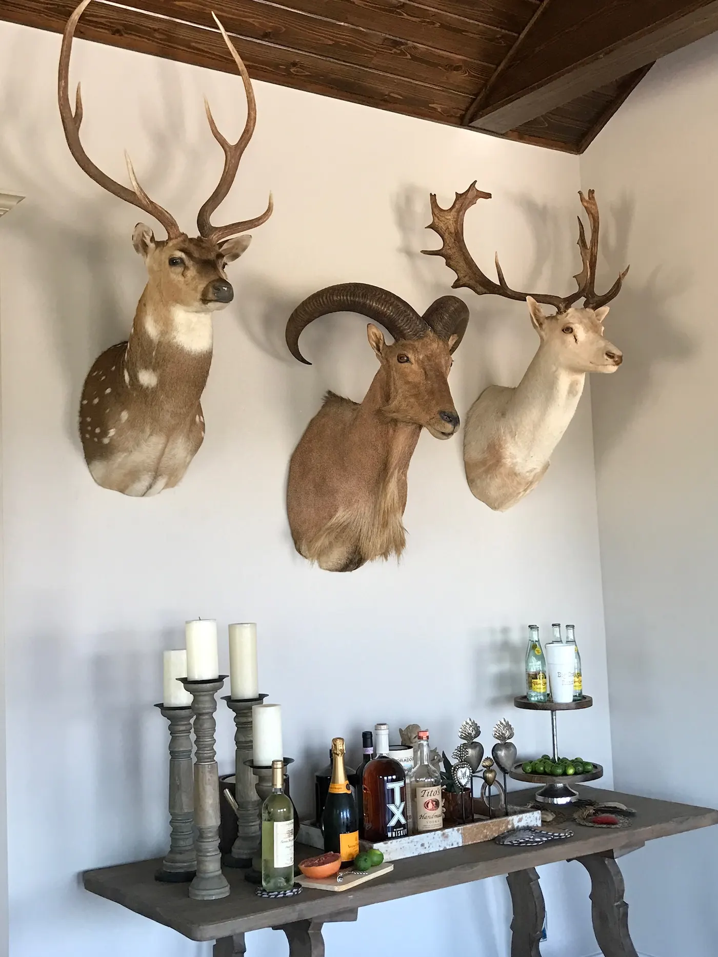 Mounts inside the lodge
